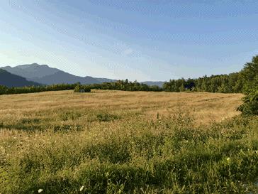 Lakonca preiskave